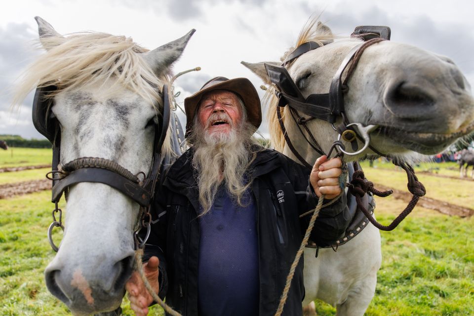 Jerry Dennihan from Tralee, known as Jerry from Kerry with horses Larry and Elton John ploughing on the first day of the National Ploughing Championships in Screggan, Tullamore, Co. Offaly. Pic: Mark Condren